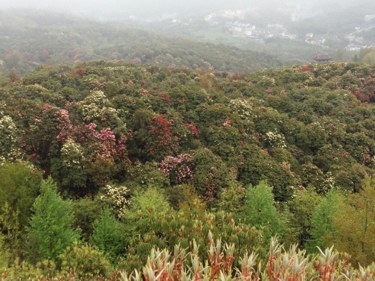 貴州自駕游最值得去的地方推薦，貴州周邊自駕游受歡迎景點(diǎn)推薦