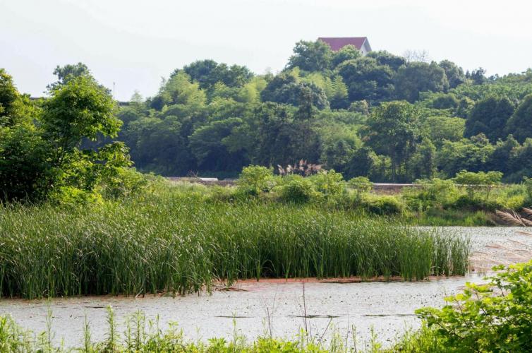 周末金華出發(fā)1-3天短途自駕游去哪玩，6條金華特色自駕游好去處推薦