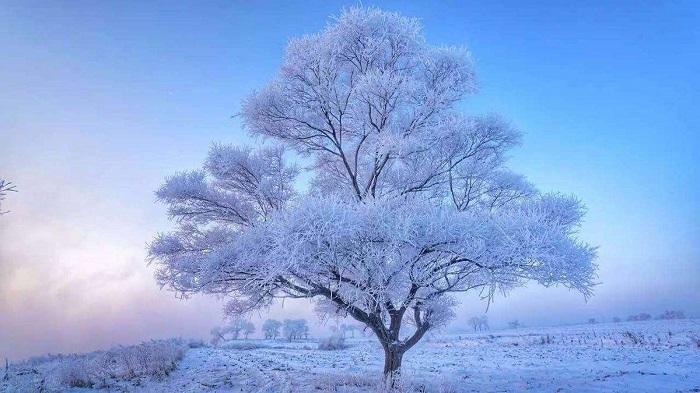 自駕去東北玩雪，趁著冬天還沒結(jié)束趕緊去東北的這幾個(gè)地方自駕游吧！