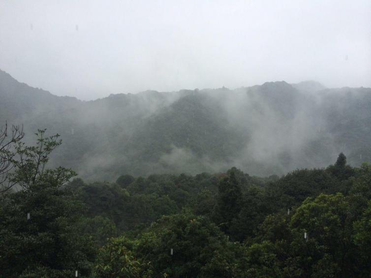 12月廣東周邊自駕游去哪里好玩，初冬廣東周邊自駕游最美森林公園景點攻略