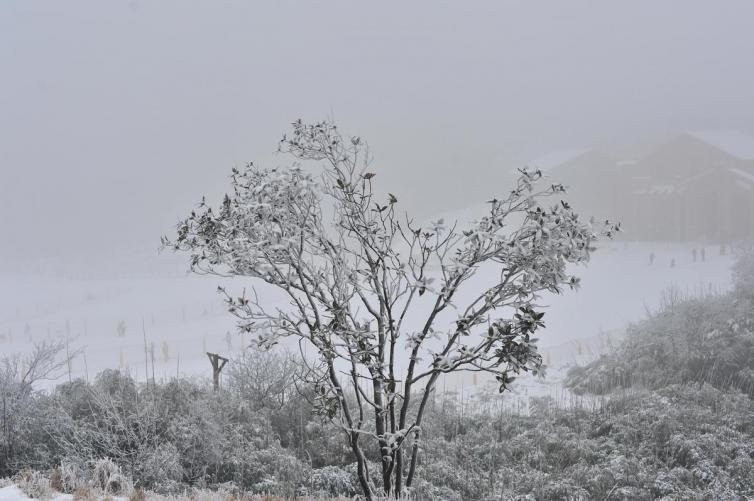 冬天重慶適合自駕游的景點推薦，開啟重慶深冬自駕游賞雪之旅吧