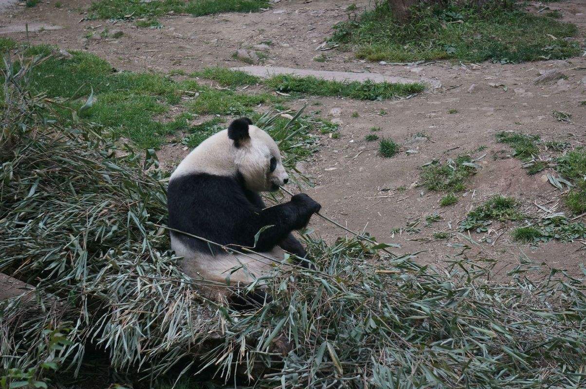 西安清明節(jié)親子自駕游攻略，西安周邊適合親子自駕游的好去處