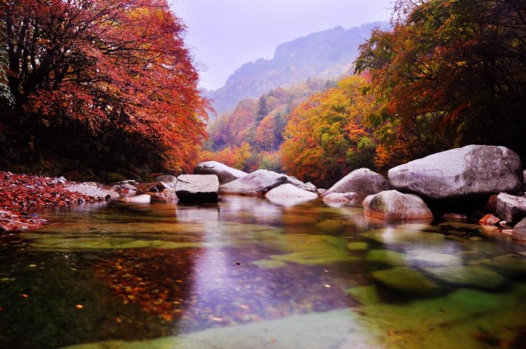 秋天重慶自駕游哪里好玩，4個重慶出發(fā)周邊看紅葉自駕游好去處推薦