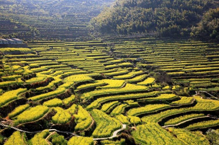 周末嵊州周邊自駕游去哪里好玩，4個(gè)嵊州自駕游生態(tài)景點(diǎn)攻略推薦