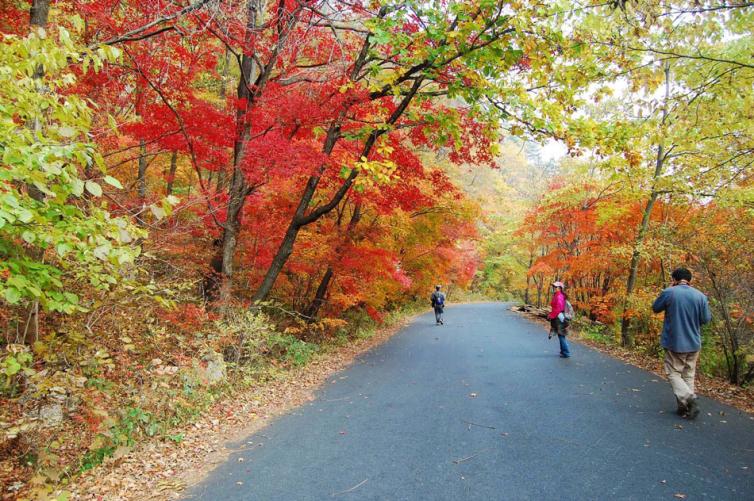 五一遼寧周邊自駕游去哪兒好玩，遼寧8座最美山峰自駕游景點線路推薦