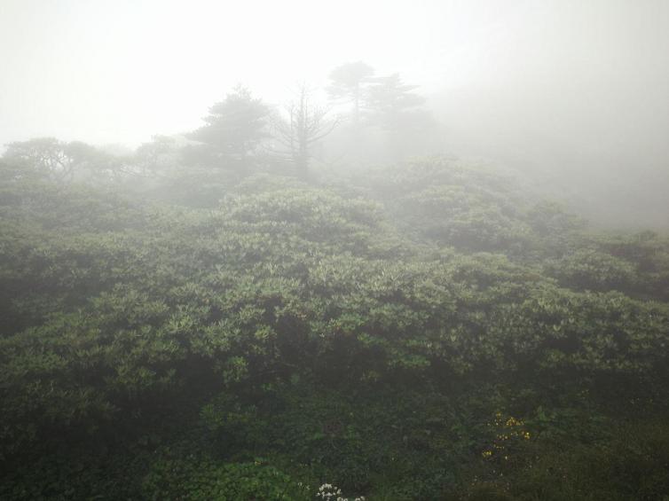 云南自駕游這七條路線你一定不能錯(cuò)過(guò)，云南必須要走一遍的自駕游線路推薦