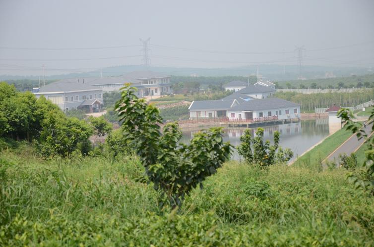 安徽親子自駕游去哪好玩，培養(yǎng)孩子動手能力/帶孩子體驗田園氣息的周末好去處