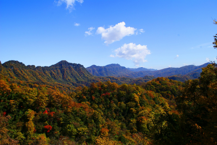 成都周邊自駕游去哪兒好玩，開啟觀賞中國紅葉第一山的自駕游之旅