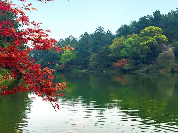 周末湖州自駕游去哪好玩，8個讓你深入自然感受田園氣息自駕游景點線路攻略