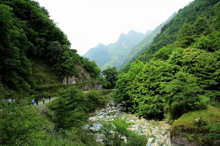 五一成都出發(fā)3天行程美食賞花自駕游線路推薦，4-5月成都自駕游去哪兒好玩