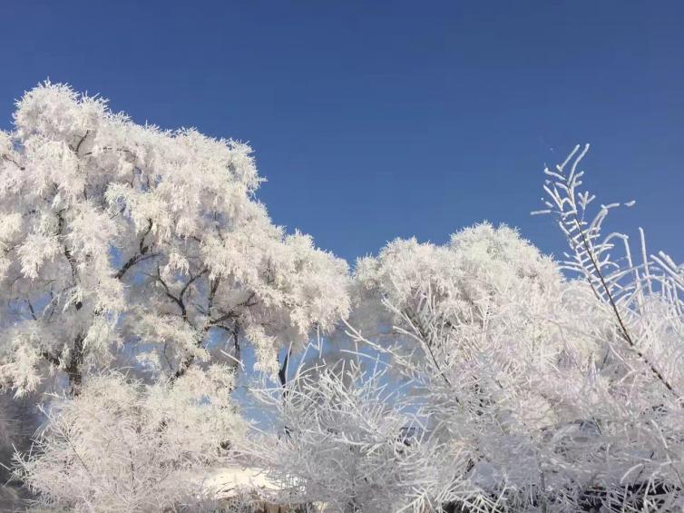 元旦自駕游最熱門的景點推薦，小長假不要給自己留遺憾