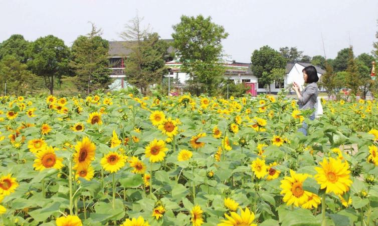 五一西安自駕游去哪兒好玩，14個西安周邊人少美景美食自駕游景點線路攻略