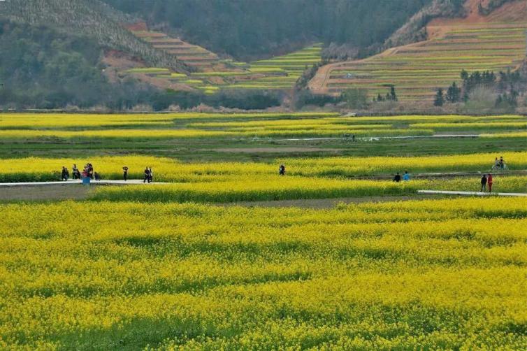 春天國(guó)內(nèi)自駕游必去景點(diǎn)推薦，這些秘境藏著最美的春天