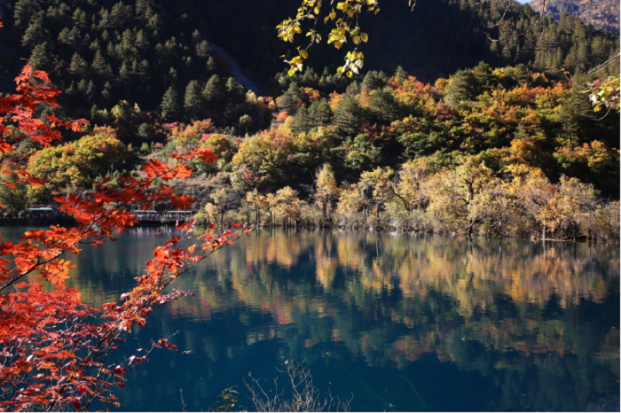 冬天國(guó)內(nèi)小眾自駕游目的地推薦，5個(gè)風(fēng)景超美的國(guó)內(nèi)自駕游好去處攻略