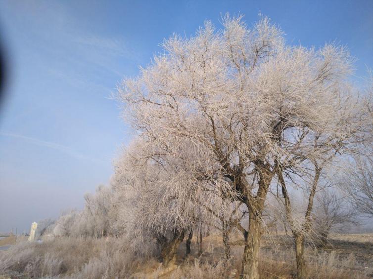 12月自駕游這9個(gè)地方最美，欠自己的自駕游旅行該還了