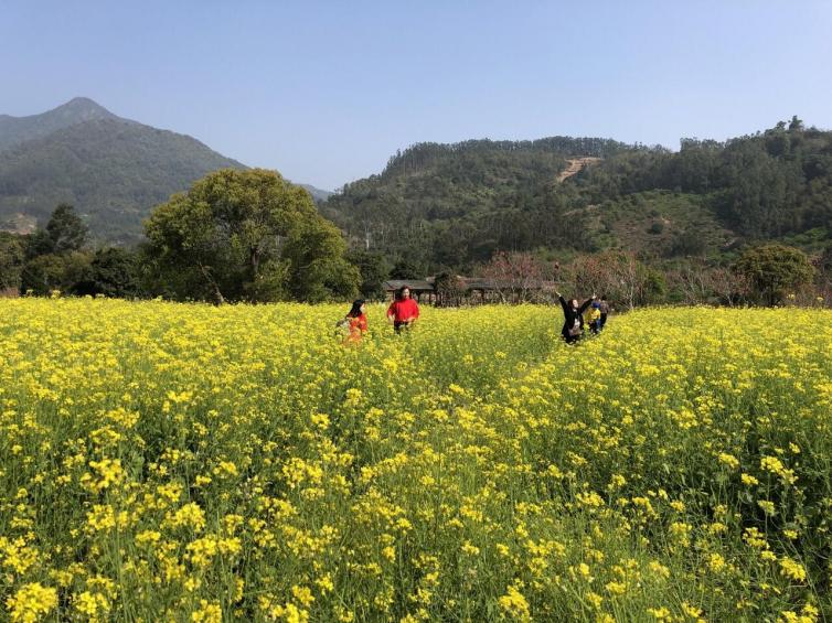 三月福建自駕游經(jīng)典好去處推薦，福建周邊千萬別錯(cuò)過的景點(diǎn)