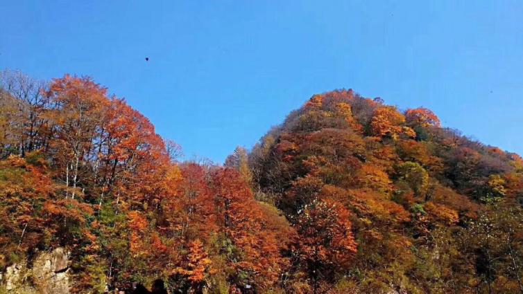 秋天重慶周邊自駕游賞景勝地推薦，不會讓你失望的自駕游美景