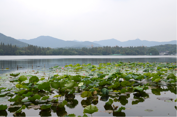 元旦江蘇省內(nèi)自駕游去哪兒好玩，自帶鄉(xiāng)村田園風(fēng)情的自駕游目的地推薦