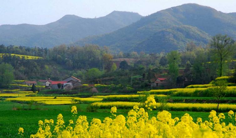 湖北荊門(mén)周邊3個(gè)踏春賞花自駕游好去處，湖北自駕游好玩_好看景點(diǎn)線路推薦