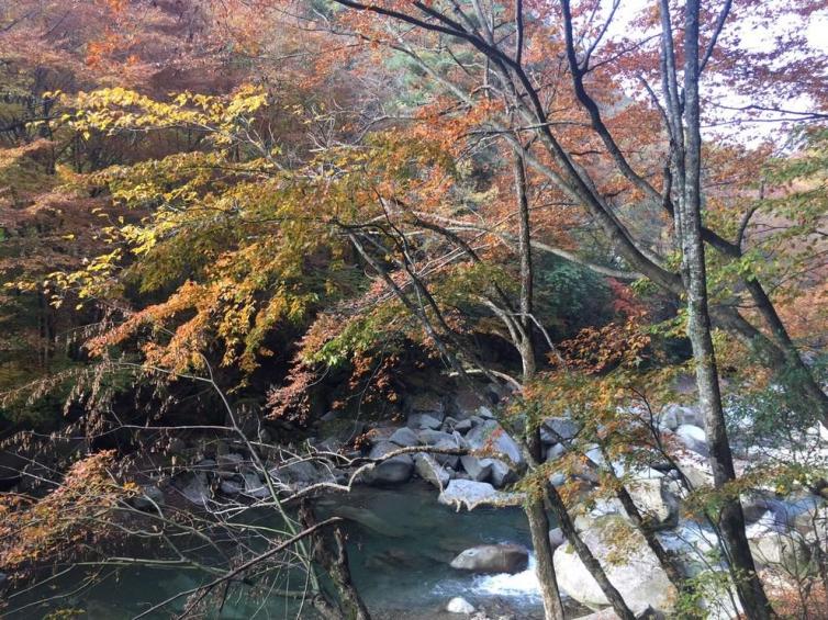 巴中光霧山紅葉節(jié)自駕游路線大全，四川/陜西/重慶出發(fā)光霧山自駕游2-3天路線安排方案