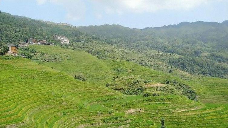 鳳凰出發(fā)至桂林龍脊梯田自駕游游玩攻略，住山頂看日出感受自然之美