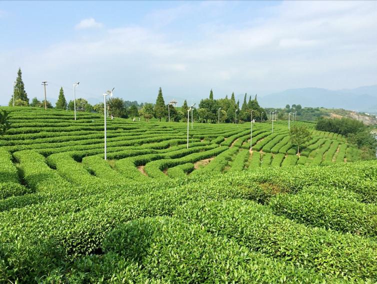 浙江周末自駕游好去處推薦，浙江自駕游沿途美景數(shù)不勝數(shù)的好去處推薦，浙江自駕游去哪好玩