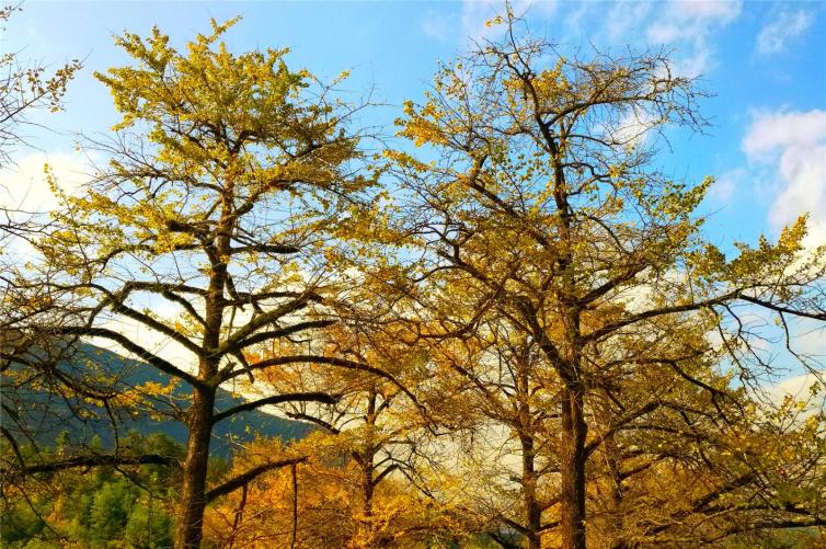 秋天湖南自駕游動人秋景好去處推薦，6條湖南賞景短途線路攻略