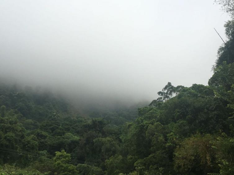 春天深圳周邊自駕游美景推薦，深圳踏春游必去景點(diǎn)攻略