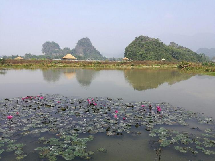 廣東1-2日適合自駕游好地方推薦，廣東周邊性價比最高的自駕游線路攻略