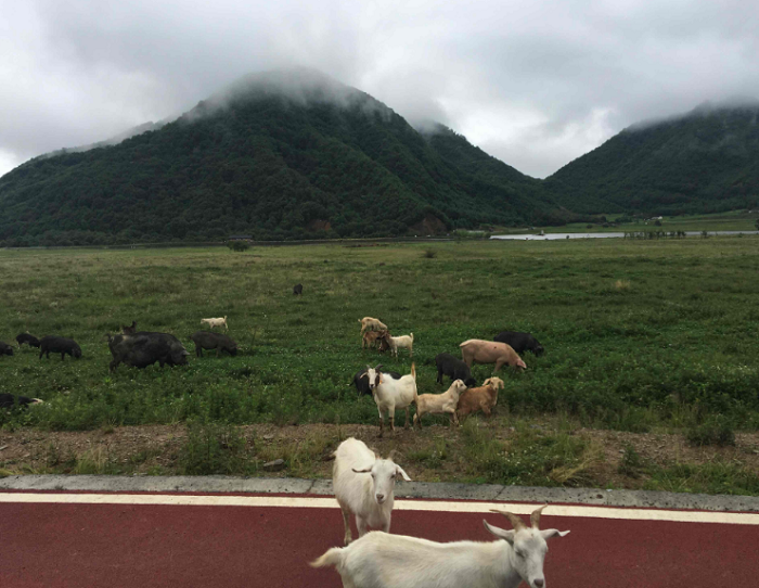 湖北省內(nèi)最適合帶父母一起去的自駕游目的地推薦，春節(jié)湖北省內(nèi)自駕游去哪兒好玩？