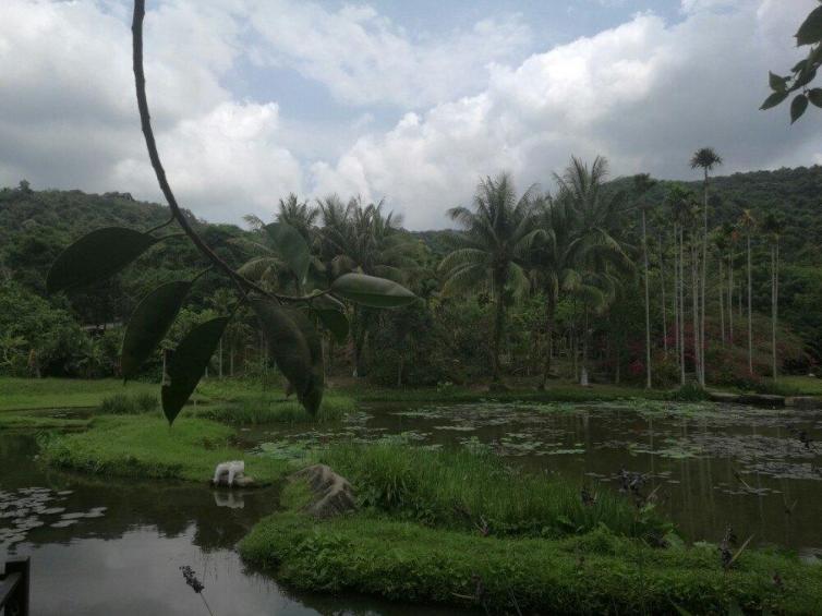 海南三亞自駕游好玩的地方推薦，感受不一樣的熱帶風(fēng)情