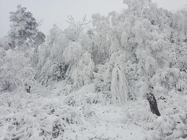 冬天貴州周邊自駕游8個滑雪好去處推薦，貴州適合帶孩子去滑雪的目的地攻略