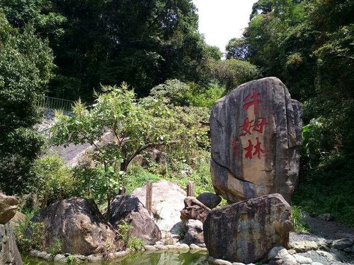 福建五大自駕游經(jīng)典目的地推薦，過年福建自駕游不容錯(cuò)過的好去處有哪些？