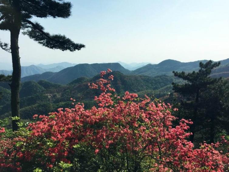 湖北周邊親子自駕游去哪好玩，6個(gè)周末湖北最受歡迎的親子自駕游路線景點(diǎn)推薦