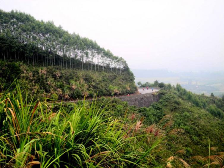 廣西桂林周邊自駕游必去景點(diǎn)推薦，10個(gè)桂林周邊最值得一去的景點(diǎn)攻略