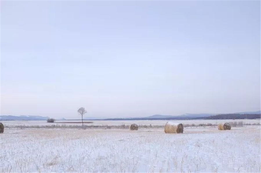 內(nèi)蒙古自駕游攻略路線，你一定不能錯過冬季的呼倫貝爾