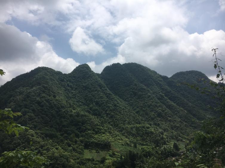 秋天重慶自駕游賞秋景點路線，重慶周邊賞秋去哪好玩?