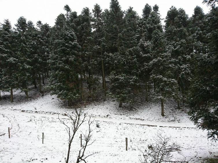 冬天重慶適合自駕游的景點推薦，開啟重慶深冬自駕游賞雪之旅吧