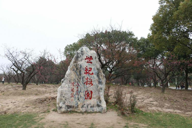 暑假上海周邊自駕游去哪里好玩，6個上海周末走進歷史、親近自然自駕游景點攻略推薦