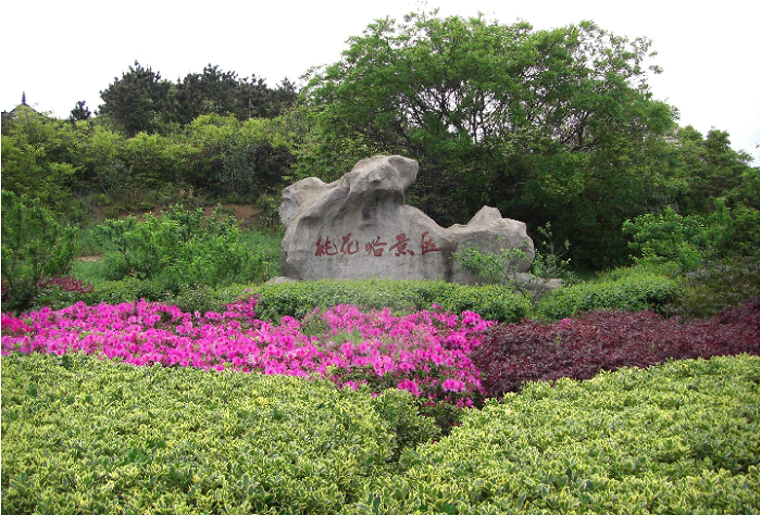 周末舟山自駕游風(fēng)景超好的目的地推薦，周末1-2天舟山短途自駕游好去處攻略