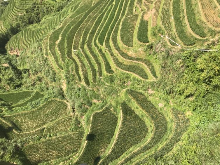 冬天國(guó)內(nèi)自駕游必去的人間仙境線路，冬天旅游淡季也有美景