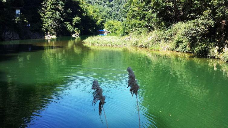 中秋浙江自駕游去哪里好玩，浙江自駕5日游好去處攻略推薦