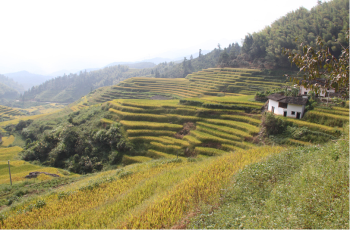 廣州周邊自駕游目的地推薦，5大山清水秀的自駕游景點(diǎn)看盡廣州好山水