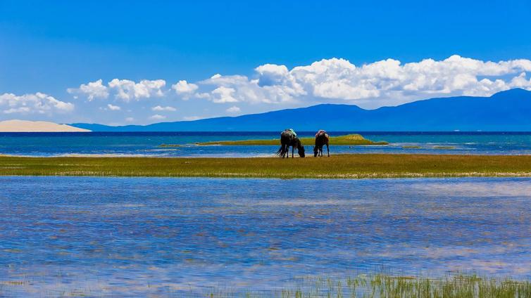 6-8月青海景色最美的7個(gè)自駕游景點(diǎn)攻略推薦，暑假青海自駕游去哪好玩