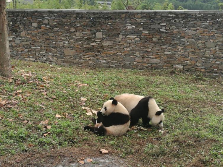 成都周邊7個冷門自駕游目的地推薦，秋天成都風(fēng)景極美的好去處攻略