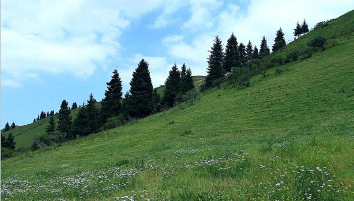 烏魯木齊周邊自駕游不容錯(cuò)過的好風(fēng)景，烏魯木齊親子自駕游熱門好去處推薦