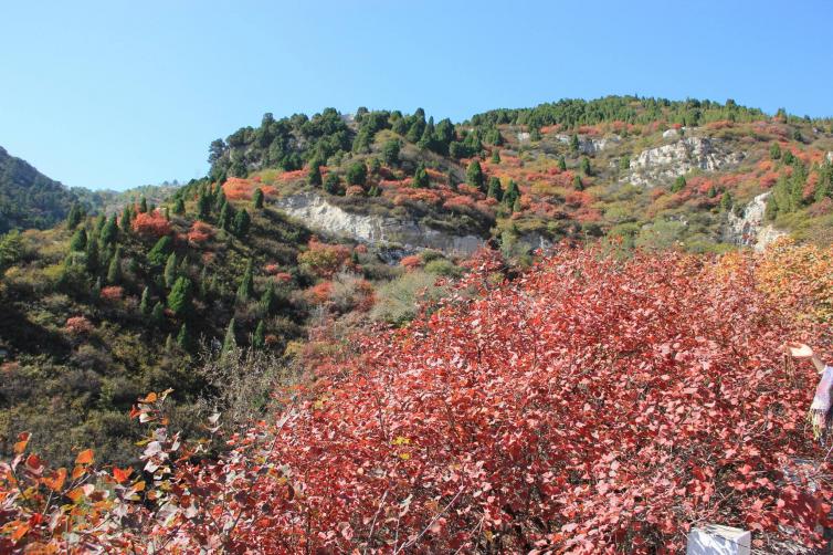 太原自駕游六處最美登山路，太原周末自駕就去這些地方啦