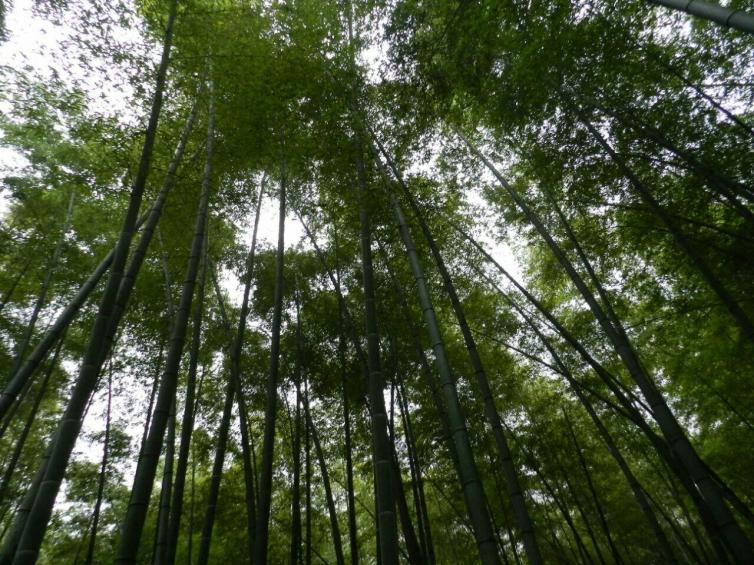 重慶自駕游景色最美的好去處推薦，重慶周邊這6個(gè)自駕游景點(diǎn)值得一去