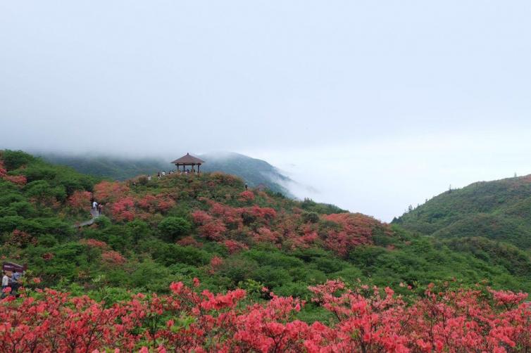 春天湖南周邊自駕游隱藏美景推薦，盤(pán)點(diǎn)湖南那些鮮為人知的小眾景點(diǎn)