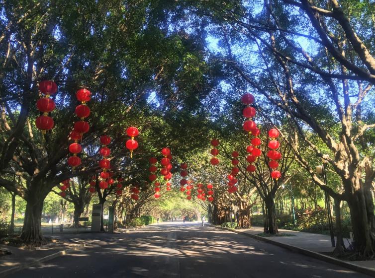 深圳自駕游免費(fèi)景點(diǎn)推薦，6個(gè)深圳適合周末游玩的好去處推薦